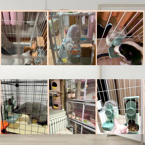 Hanging Automatic Food and Water Dispenser, Gravity Rabbit Feeder Set, Cage Cat and Bunny Food Bowl (Cage Grid Spacing Over 1.2'')