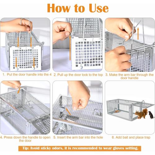 Humane Rat Trap, Chipmunk Rodent Trap that Work for Indoor and Outdoor Small Animal - Mouse Voles Hamsters Live Cage Catch and Release 1 Pack