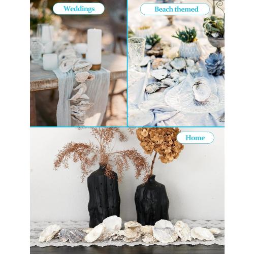 9 Pcs Oyster Shells for Crafts， 3-4 Large Oyster Shell for Crafts，Oyster Shell for Christmas 、Painting、 Beach Themes、 Wedding, Home Shells for Decoration and Sea Shells for Crafting