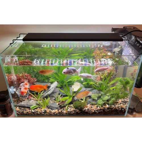 Advanced 7-Row LED Aquarium Light, Easy Setup Controller, Auto On Off Full Spectrum Fish Tank Light, 24/7 Lighting Cycle, 8 Colors, 10 Level Dimming, 48W for 36-42 Freshwater Planted Tank