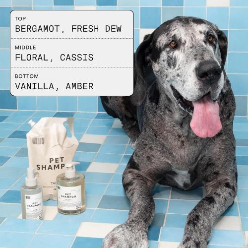 DedCool Pet Shampoo | 01 Taunt | Gentle Cleanser for Dogs | Plant-Based Formula for Soft, Fresh Coats | Sulfate-Free, Dye-Free | Vegan | 16.9 fl oz