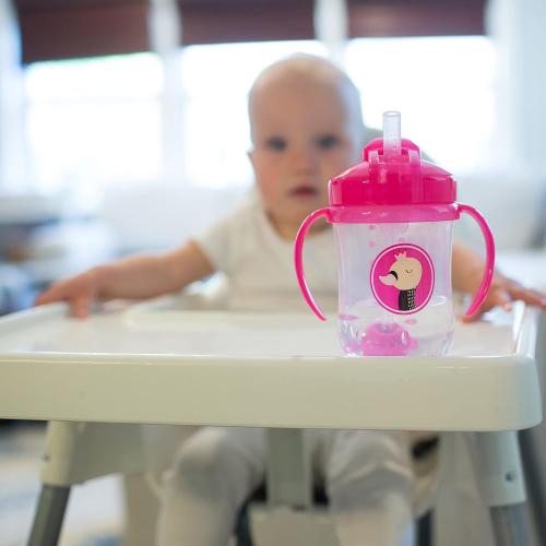Dr. Brown's Baby's First Straw Cup Straw Replacement Kit with One Straw and One Cleaning Brush, BPA Free