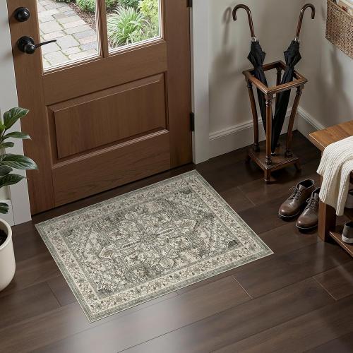 dog mat Machine Washable Non Slip Backing Mat Soft Foldable,Vintage Rugs Mats, Inside Floor Mat Doormat, Brown Lvory 2 pk