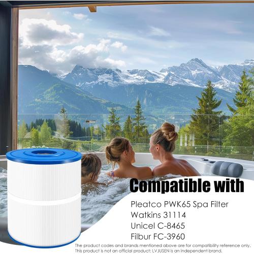 Replacement for PWK65 Hot Tub Filter Pleatco/Watkins 31114/ Unicel C-8465/ Filbur FC-3960/ Watkins 65/ Tiger River Caspian/Darlly 80651,71827,71828 Hot Spring Hot Tub Filter,65 sq. ft-1 Pack