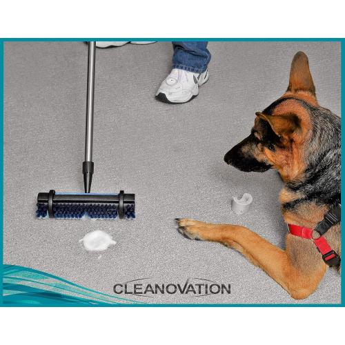 Rug Renovator Floor Scrub Brush with Long Handle, Scrape Brush Stiff Bristle Scrubber, Cleaning for carpet pet stains and odors, 32 Fl oz Carpet Shampoo