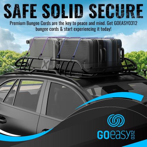 GOEASY0312 Premium Bungee Cords Heavy Duty - 20 pcs Bungee Cords with Hooks in A Storage Jar Includes 10, 18, 24, 30, 36, 48 Bungie Cord Bundle
