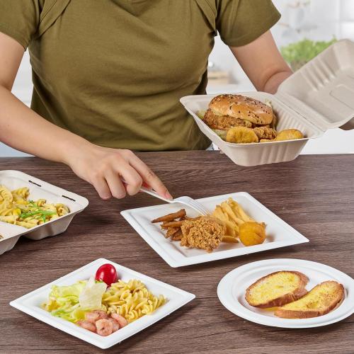 ECOLipak 75 Pack Clamshell Take Out Food Containers, 100% Compostable To Go Containers Disposable, 9X6 inch Heavy-Duty To Go Boxes, Eco-Friendly Biodegradable To Go Containers For Food