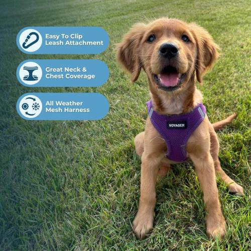 Best Pet Supplies Voyager Step-in Air All Weather Mesh Harness and Reflective Dog 5ft Leash Combo with Neoprene Handle, for Small, Medium and Large Breed Puppies - Set (Purple), MEDIUM