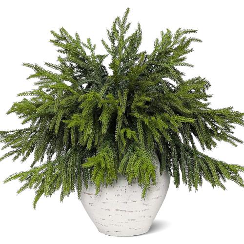 20 Pcs Real Touch Norfolk Pine Branches, Artificial Christmas Green Plants Branch Faux Greenery Stem Fake Pine Picks for Vase DIY Crafts Garland Wreath Xmas Indoor Outdoor Decor(18 Inches)