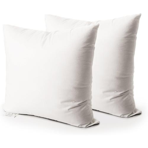 EDOW Throw Pillow Insert, Set of 2 Down Alternative Polyester Square Form Decorative Pillow, Cushion,Sham Stuffer. (White, 22x22)