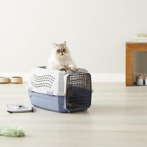 Amazon Basics 2-Door Top-Load Hard-Sided Dogs, Cats Pet Travel Carrier, Gray & Blue, 22.8L x 15.0W x 13.0H