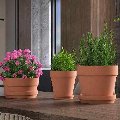 Fcacti 10 Inch Terracotta Shallow Succulent Pot - 2 Pack Large Terra Cotta Clay Pots with Drainage, Round Shallow Terra-Cotta Bonsai Pot for Indoor/Outdoor Plants