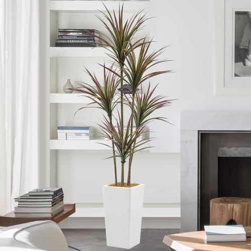 Size 6ft Artificial Dracaena Marginata Bicolor Tree 6FT with 200 Leaves & 5 Heads & White Tall Planter Cover with Coconut Fiber Tall Faux Tropical Yucca Silk Plant for Indoor Home Office Porch Decor