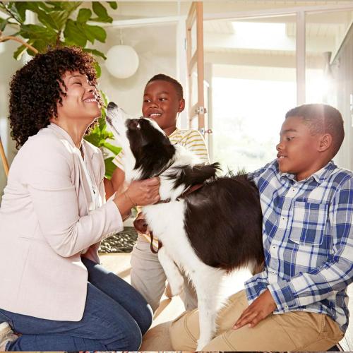 Filtrete 18x18x1 Air Filter MERV 5, 6-Pack AC Furnace Filters for Home HVAC, MPR 300 Basic Dust Defense, Removes Lint & Household Dust, 3-Month Pleated Electrostatic (Actual Size 17.81x17.81x0.81 in)