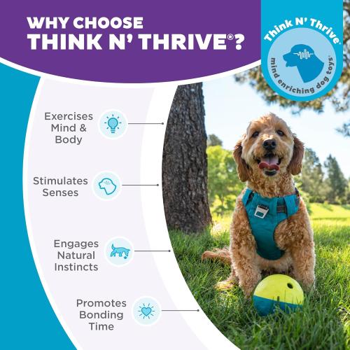 Outward Hound by Nina Ottosson Treat Tumble Interactive Puzzle Ball Dog Toy, Level 1 Beginner, Blue, Small (4.75 Diameter)