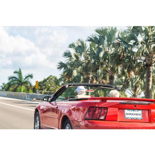 License Plate Frame Floral Hibiscus Car Tags Aluminum License Plate Covers for Girl Women Car Accessories Decoration 2 Holes with Screw