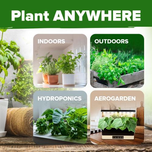 HOME GROWN 15 Herb Seeds for Planting 4,500  Non-GMO Heirloom Seeds | Extra Large Variety Pack Herb Kit – Indoor Outdoor & Hydroponic | Culinary Seed Set | Grow Your Own Herbs | Gardening Gift