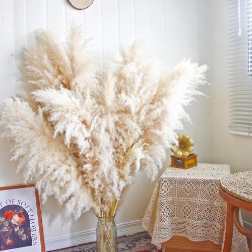 11pcs 40'' Pampas Grass Tall Decor - Pompas Floral, Tall Pampas Grass for Floor Vases, Living Room Floor, Floor Plants, Plumas para, and Grass Wall Decor