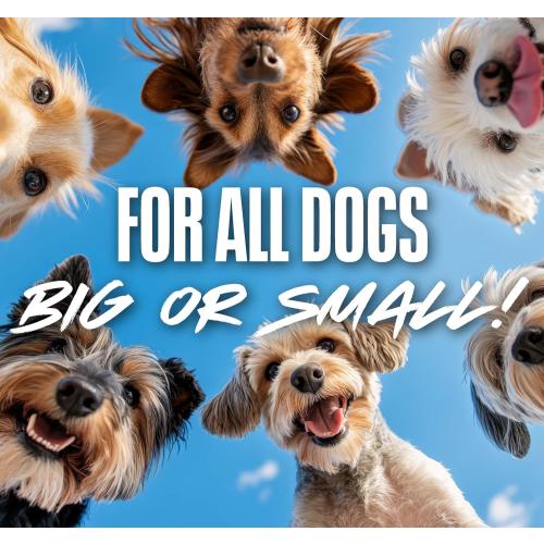 Missing Ball....Nerf Dog Tennis Ball Blaster Dog Toy Blue/Orange, 16 Inch Compact Blaster with