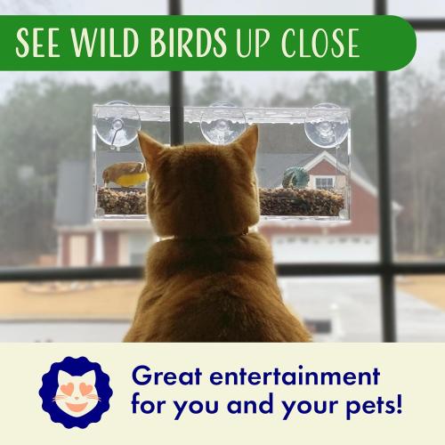 Window Bird Feeder by Nature's Hangout - Award-Winning Transparent Acrylic Bird Feeders for Outdoors, No Assembly, Strongest Suction Cups, Birds Watching for Cats, Easy-to-Clean Birdhouse Feeder