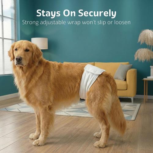 Maximum Absorbency Male Dog Diapers - Leak-Proof Disposable Male Dog Wraps- FlashDry Gel Technology, Wetness Indicator Doggie Diapers- Belly Wraps for Incontinence & Training (50 Pack, Small)