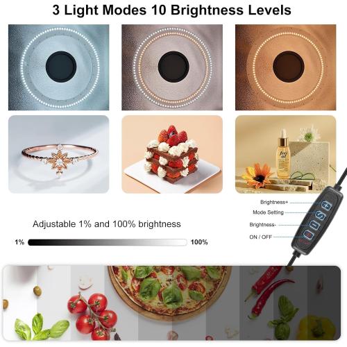 PULUZ Light Box Photography, 20x20 inch Portable Photo Studio Light Box, Professional Dimmable Quick Charge USB-C Photo Booth with 200 LED Lights & 12 Color Backdrops Photo Box for Product Photography