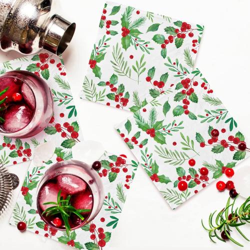 Christmas Party Supplies, Serve 50, Christmas Seasonal Holly Tableware Includes: Paper Dinner Plates, Dessert Plates, Luncheon Napkins and Beverage napkins, Great for Party Decorations