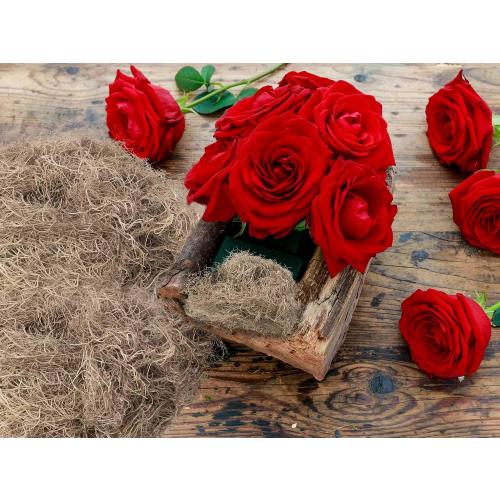 Royal Imports Preserved Natural Spanish Moss, Fresh Dried Shredded Loose Chunks, 3 LB Bulk Case