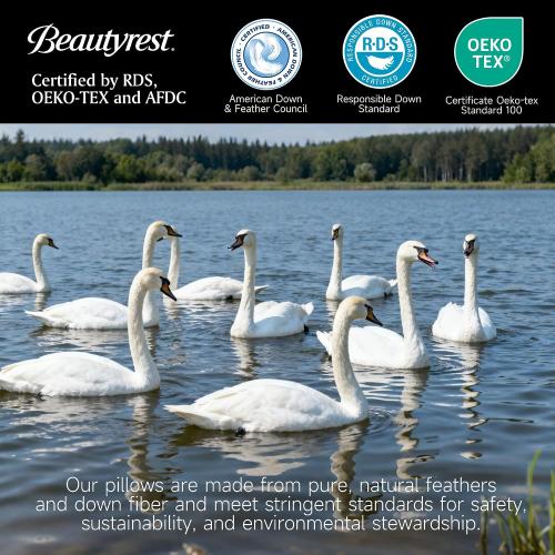Beautyrest Goose Feather Down Fiber Gusseted Pillows, Firm Hotel Pillow Luxury Bed Pillows, 100% Cotton Cover, King Size Set of 2