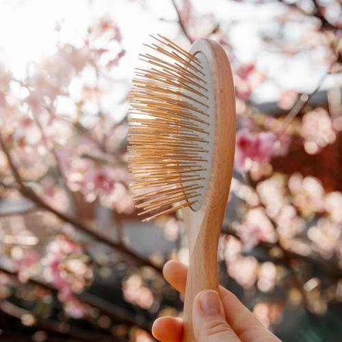 Snow Fox Skincare Gua Sha Hair Brush - Wooden Edition. Scalp Massage Comb with Gold-Plated Metal Bristles for Healthy Follicles. Soothing Gua Sha Acupressure Tool for All Hair Types