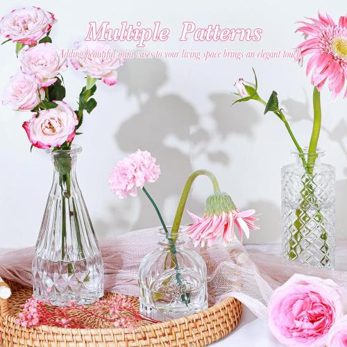 UPBUD Clear Glass Bud Vases Set of 12, Small Vases for Flowers