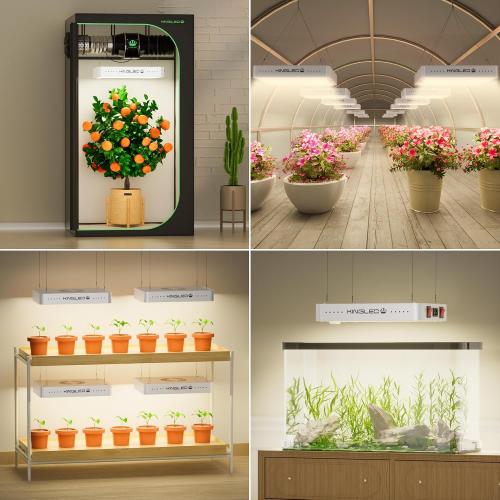 KingLED Grow Lights, KP1500 Full Spectrum Grow Lamp for Indoor Plant, Veg Bloom Dual Mode, 2x4 Coverage, Plant Light for Seedlings Blossom Fruiting, Idea for Home Growing Tent Hydroponic Greenhouse