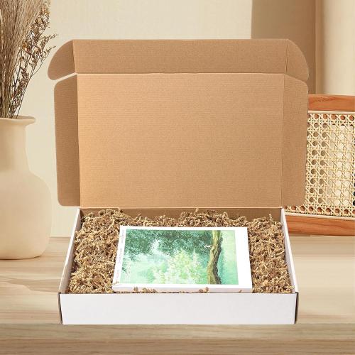 17x11x3 Shipping Boxes 20 Pack White**** Corrugated Cardboard Mailing Boxes for Small Business - Flat Literature Mailer Packaging Supplies