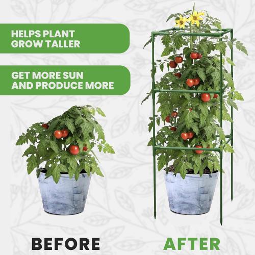 Tomato Cage Square - Large Trellis Stakes and Plant Support Structures for Vegetables and Climbing Plants - Tall Tomato Cages for Garden, Pots, Raised Garden Bed Outdoor Supplies