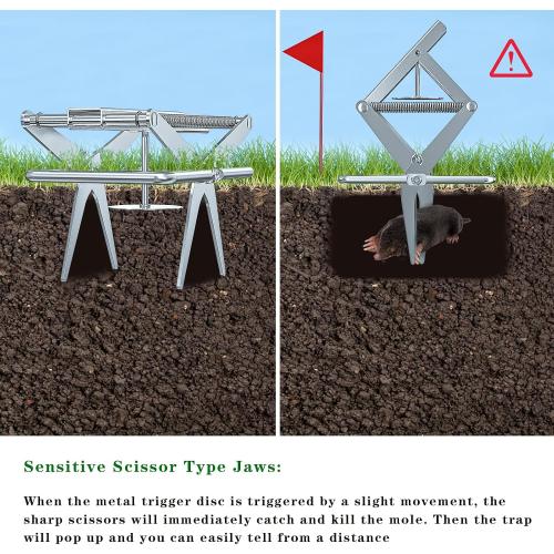 Mole Traps That Kill Best, Scissor Mole Traps for Lawns Vole Traps Outdoor Use, Mole Trap Easy to Set Galvanized Steel Reusable Quick Capture Gopher
