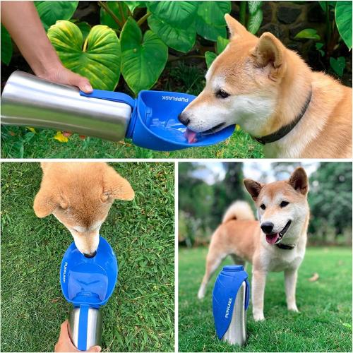 27oz Blue PupFlask Large Dog Water Bottle | 27 or 40 OZ Stainless Steel | Convenient Dog Drink Dispenser | Puppy Travel Water Bowl | Portable Pet Hydration Bottle | Leak Proof | Perfect Size for All Breeds
