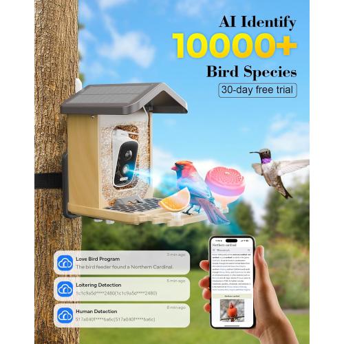 Bird Feeder with Camera Solar Powered, Bird Feeders for Outdoors with DIY Add-ons - Honey Jar & Fruit Fork & Squirrel Proof Net & 32GB SD Card, AI Identify Birds, Ideal Present for Birdlover