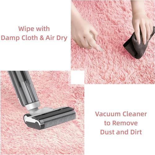 Litanika 4x6 Shag Area Rug for Living Room Bedroom, Pink High Pile Soft Plush Shaggy Furry Cute Bedside Playroom Dorm Carpet, Non-Slip, Non-Shedding Modern Indoor Floor Rug