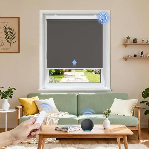 Grandekor Motorized Roller Shade with Remote Control, Motorized Blinds100% Blackout Electric Shades, Cordless Window Blinds Shades for Bedroom Living Room Office,Dark Grey,
