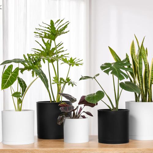 FaithLand 10-Inch Modern Cylinder Planter, Thick-Walled Plastic Plant Pot with Drainage Holes and Detachable Saucer, Matte Black, Ideal for Indoor & Outdoor Plants Flowers