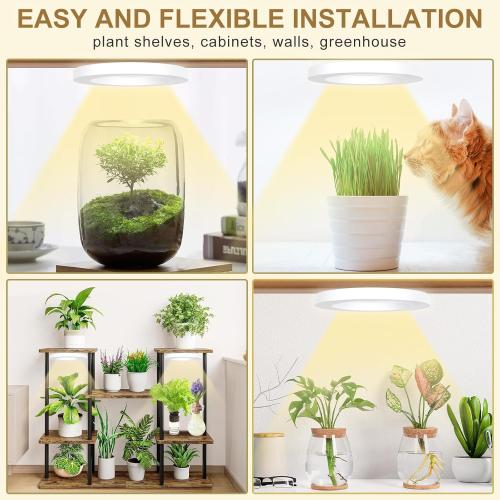 Full Spectrum Grow Light for Indoor Plants, 216 LEDs Halo Plant Light with Auto On/Off Timer (4/8/12H), 10-Level Brightness, 3 Lighting Modes, for Small Plants & Seedlings (White, Tri Head)