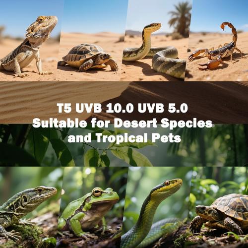 Pack of 2 T5 10.0 UVB Reptile Light Bulb 39W, UVA UVB Light Bulb for Reptiles, 2 Pack Reptile UVB Lamp Tube 33 Inch, for Bearded Dragon, Lizards, Chameleons