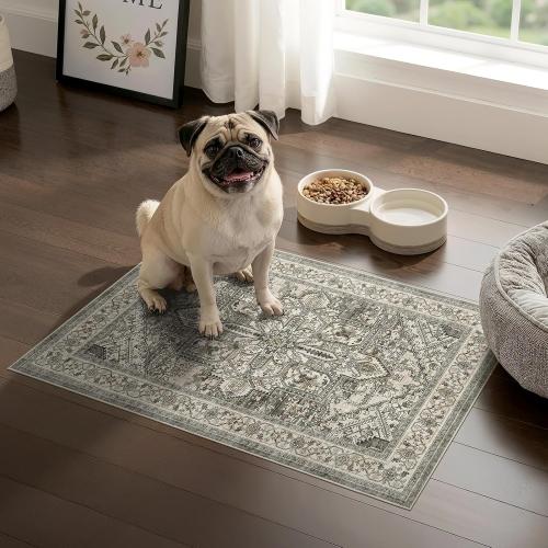 dog mat Machine Washable Non Slip Backing Mat Soft Foldable,Vintage Rugs Mats, Inside Floor Mat Doormat, Brown Lvory 2 pk