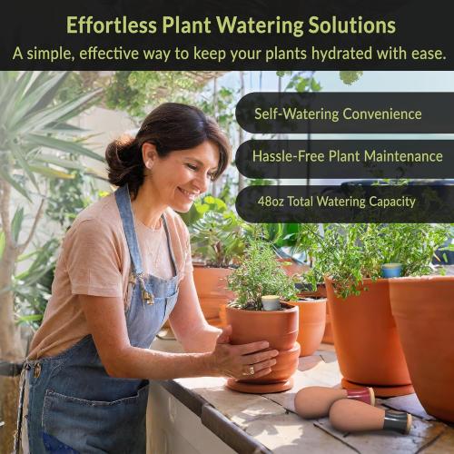 Ollas (Set of 4) | 12oz Terracotta Plant Watering Globes - Self Watering Planter Insert - Automatic Plant Watering Devices | Vacation Watering Pots for Indoor & Outdoor Plants