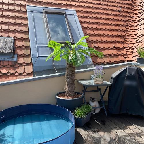 ‼️ONLY 6 PCS‼️ Large Artificial Palm Leaves Palm Fronds Tropical Leaves Areca Palm Branches Palm Leaves with Stem Palm Tree Leaves Faux Palm Leaves for Floral Arrangement Fake Leaves Palm Leaf Decor