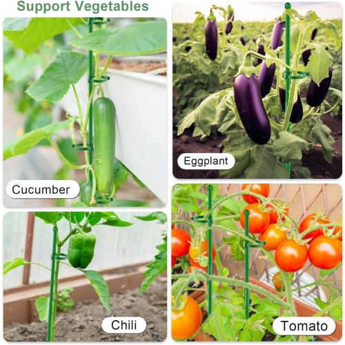 Plant Support Stakes 15 Inch for Indoor Plants,10 Pcs SupKing Orchid Sticks with Clips Garden Stake Extended for Outdoor Potted Tomato Rose Vegetables House Palnts Comes with 20 Plants Ties