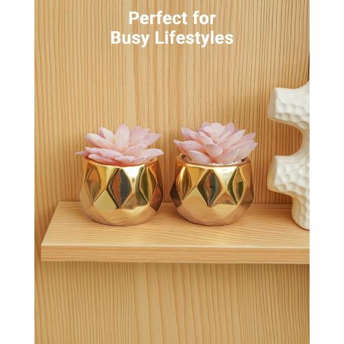VIVERIE Mini Succulents Plants Artificial in Pots-Pink with Golden Ceramic, Christmas Small Fake Succulents Plants for Home Decor Indoor for Women, Set of 2, Gifts for Mom