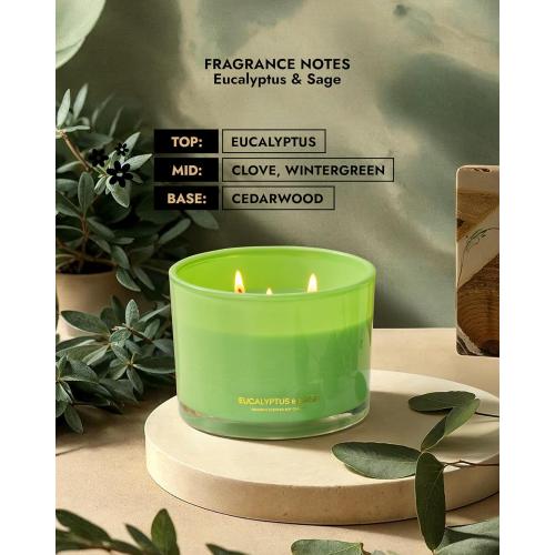 96NORTH Luxury Eucalyptus & Sage Soy Candle | Large 3 Wick Jar Candle | Up to 50 Hours Burning Time | 100% Natural Soy Wax | Housewarming Gift for Men and Women