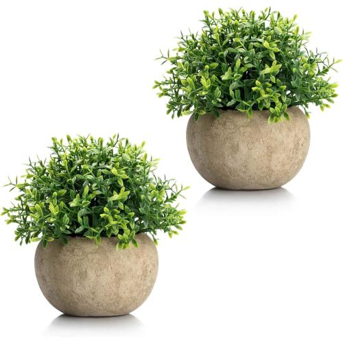 Velener 2Pcs Mini Artificial Boxwood Topiary Faux Plants Indoor- Small Fake Plants Decor Magnolia Home Office Desk Cubicle Farmhouse Kitchen Bookshelf Bedroom Bathroom Decor, Aloe Vera Zen Garden