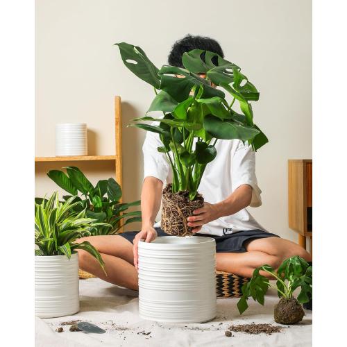 Fayoula Ceramic Planter, 10 8 6 Inch Plant Pots, Modern Striped Indoor/Outdoor Flower Pots for Succulents, Herbs, Home Office & Patio - Includes Mesh Pads & Saucer, Set of 3